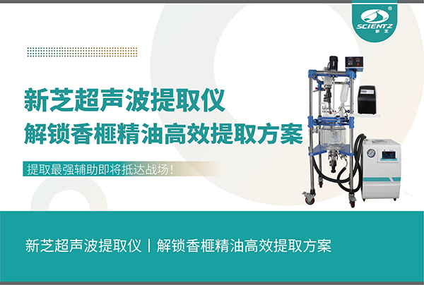 唐縣香榧精油高效提取方案