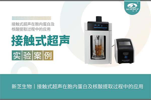 唐縣接觸式超聲在胞內(nèi)蛋白及核酸提取過程中的應(yīng)用