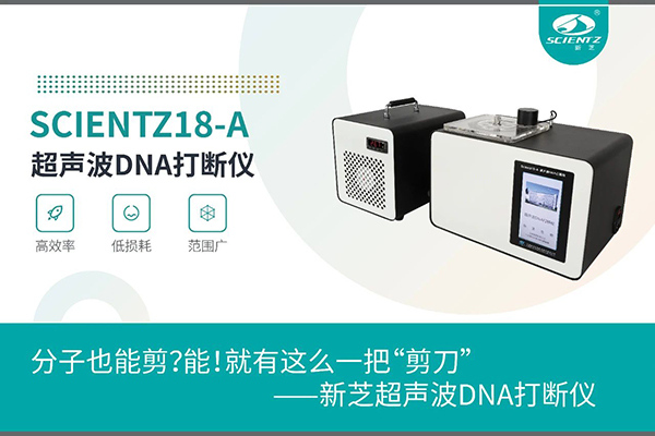 唐縣新芝超聲波DNA打斷儀應(yīng)用于分子剪切