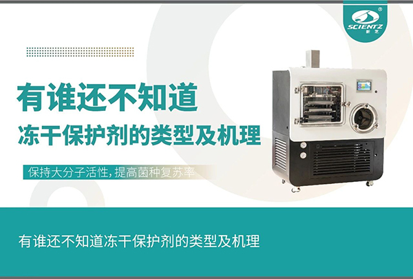 唐縣凍干保護(hù)劑的類型及機(jī)理