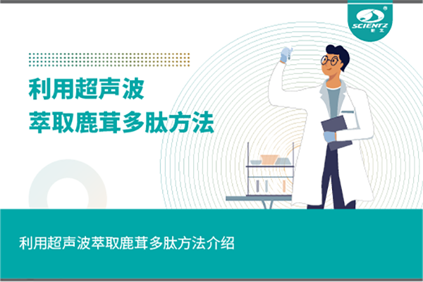唐縣利用超聲波萃取鹿茸多肽方法介紹