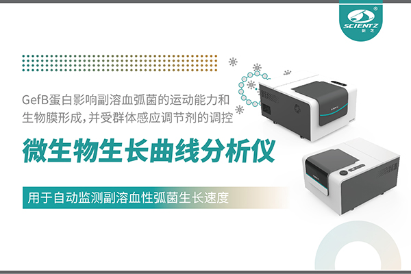 唐縣論文分享｜基于MGC系列揭示環(huán)境鎂離子對(duì)副溶血性弧菌毒力與生物膜形成的全局調(diào)控