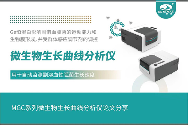 唐縣論文分享｜群體感應(yīng)調(diào)控GefB蛋白抑制副溶血性弧菌運(yùn)動(dòng)及生物膜形成機(jī)制解析