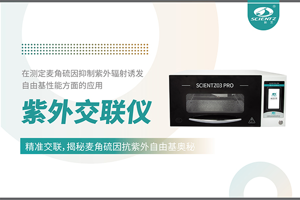 唐縣紫外交聯(lián)儀在麥角硫因研究中的創(chuàng)新應(yīng)用