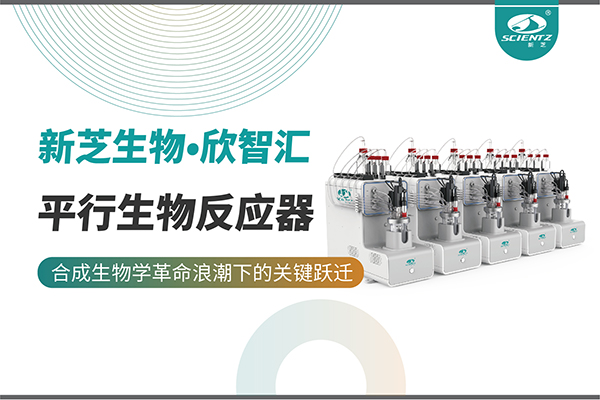 唐縣培養(yǎng)菌株和評估工藝參數影響太難太慢？平行生物反應器提供關鍵解決方案！