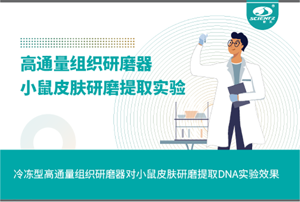 唐縣冷凍型高通量組織研磨器對(duì)小鼠皮膚研磨提取DNA實(shí)驗(yàn)效果
