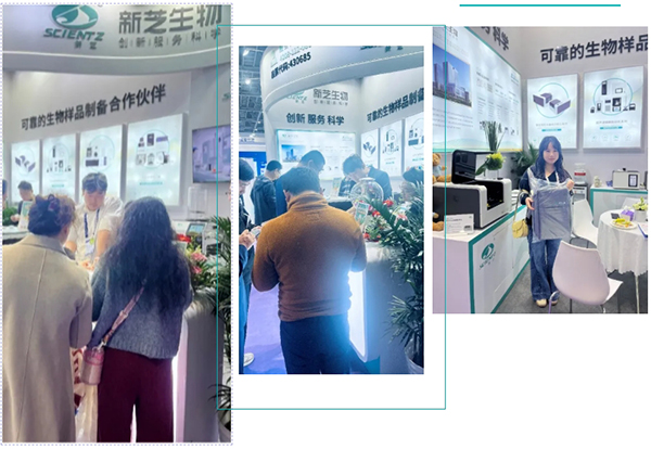 展館現(xiàn)場(chǎng)